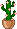 kaktus