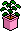blomma