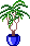 palm