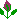 rosenknopp