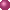 rosa boll